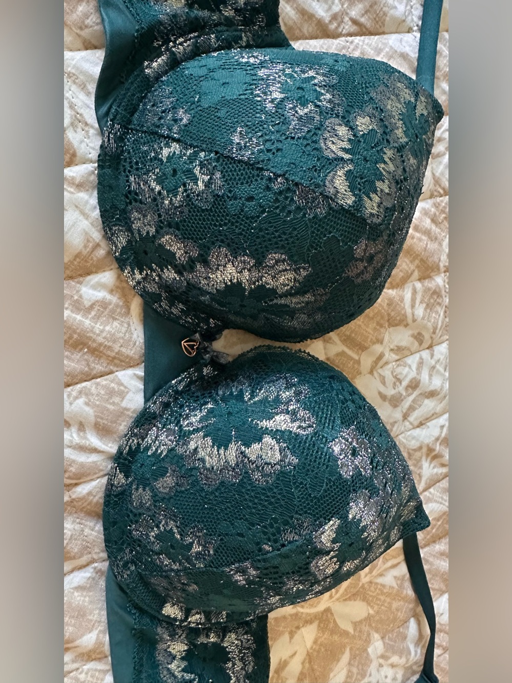 NEW Victoria's Secret Teal Green Lace Push-Up Bra with Silver Accents - Sz 34C